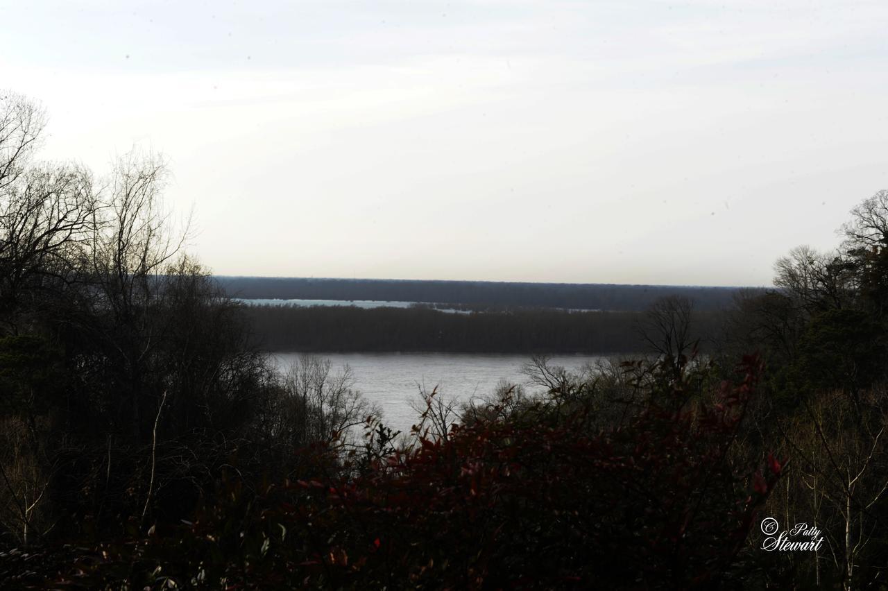 Clermont Bluffs Bed & Breakfast Natchez Dış mekan fotoğraf
