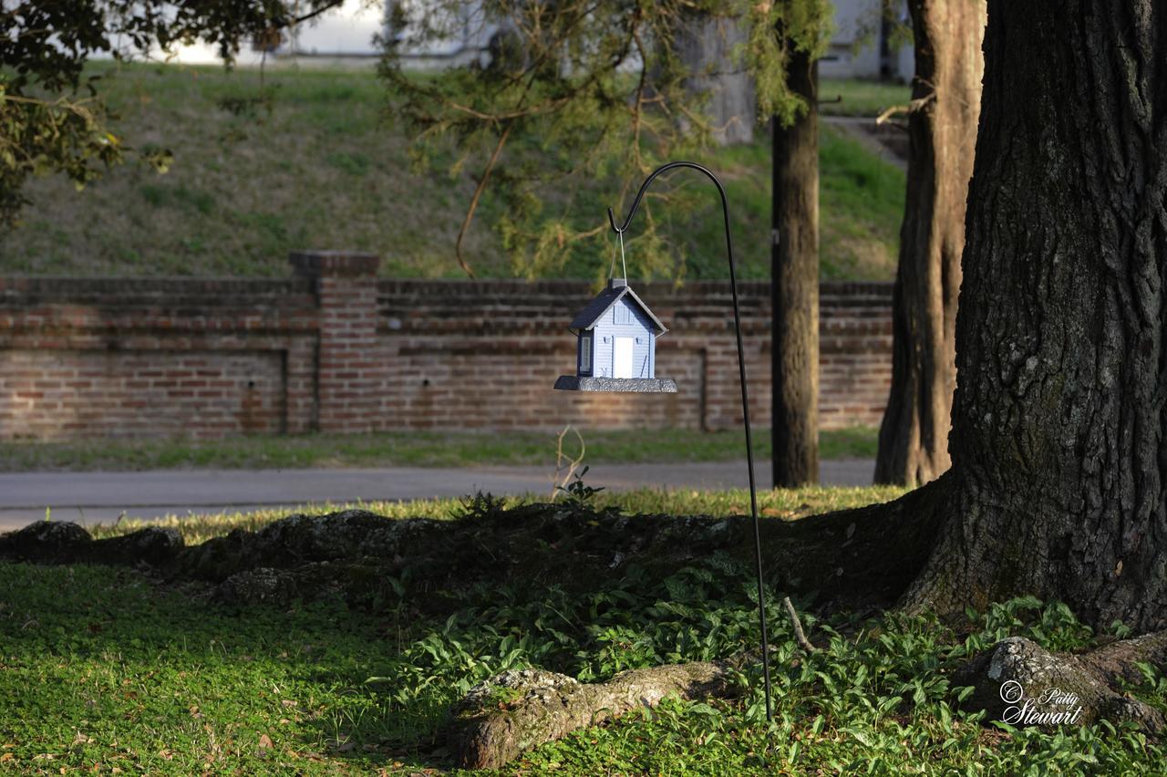 Clermont Bluffs Bed & Breakfast Natchez Dış mekan fotoğraf