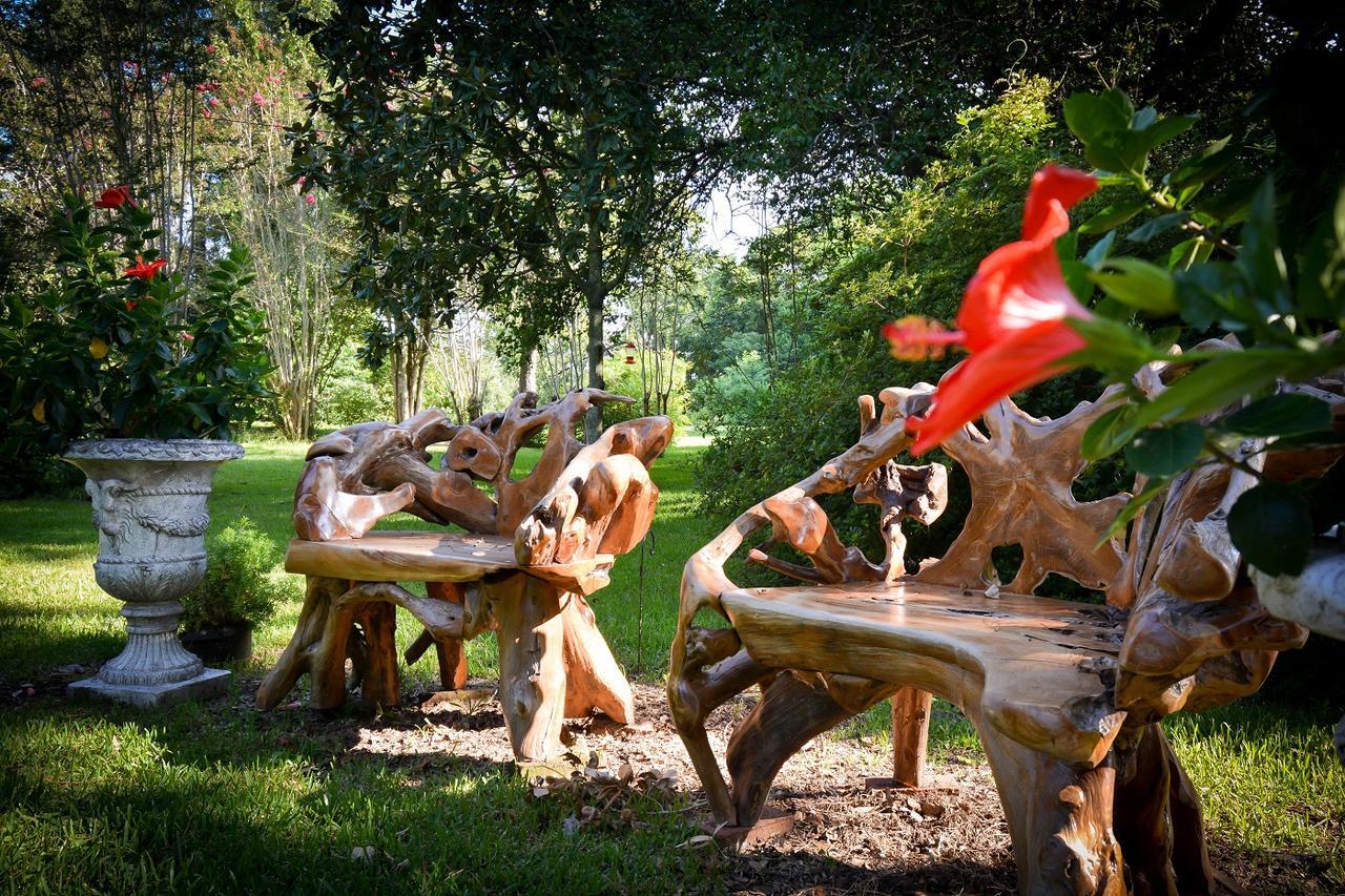 Clermont Bluffs Bed & Breakfast Natchez Dış mekan fotoğraf