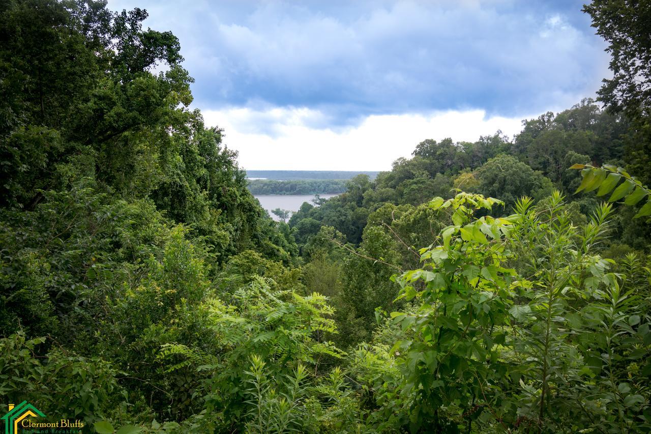 Clermont Bluffs Bed & Breakfast Natchez Dış mekan fotoğraf